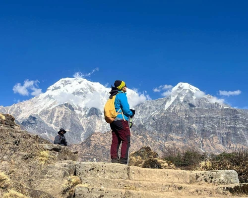 Annapurna South And Hiunchuli Peaks Seen From Mardi Himal Viewpoint