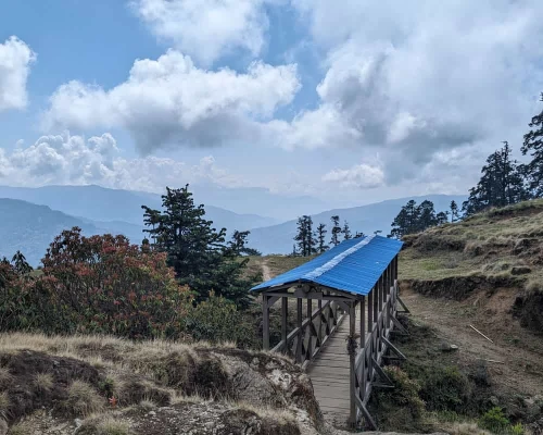 Bridge At Pikey Peak Trek