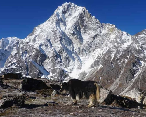 Everest Base Camp Trekking