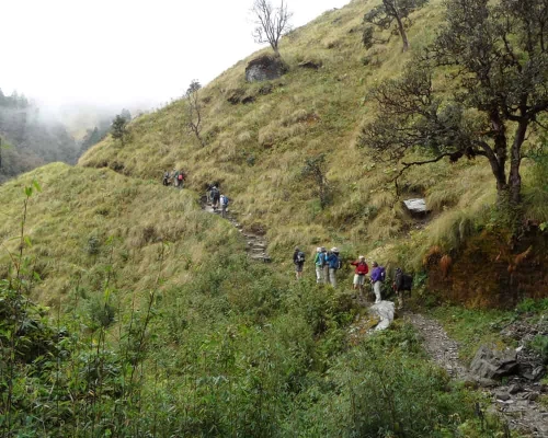 Khopra Ridge Trekking Trail