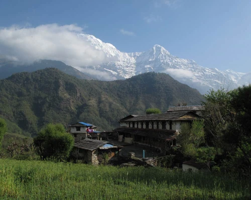 On The Way To Abc Trekking