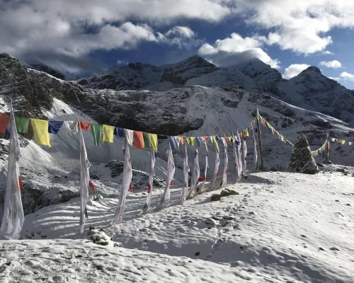 Thorang La High Camp