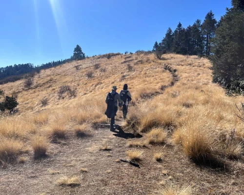 Trail From Poon Hill To Mohare Danda