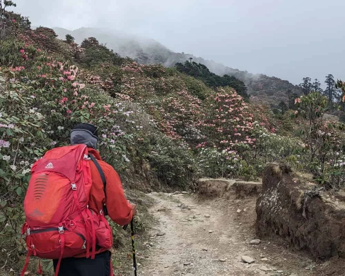 Trekking At Pikey Trail