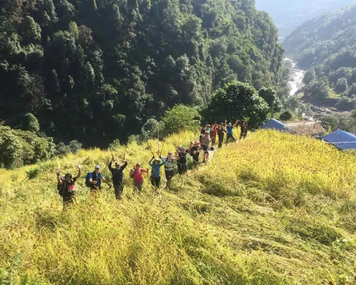 Trekking Through Millet Field