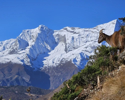 View Of Ama Dablam On Everest Base Camp Trail