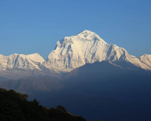 View Of Majestic Dhaulagiri From Khopra Ridge